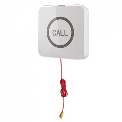 Кнопка вызова iBells 310S влагозащищенная со шнуром для МГН в Самаре